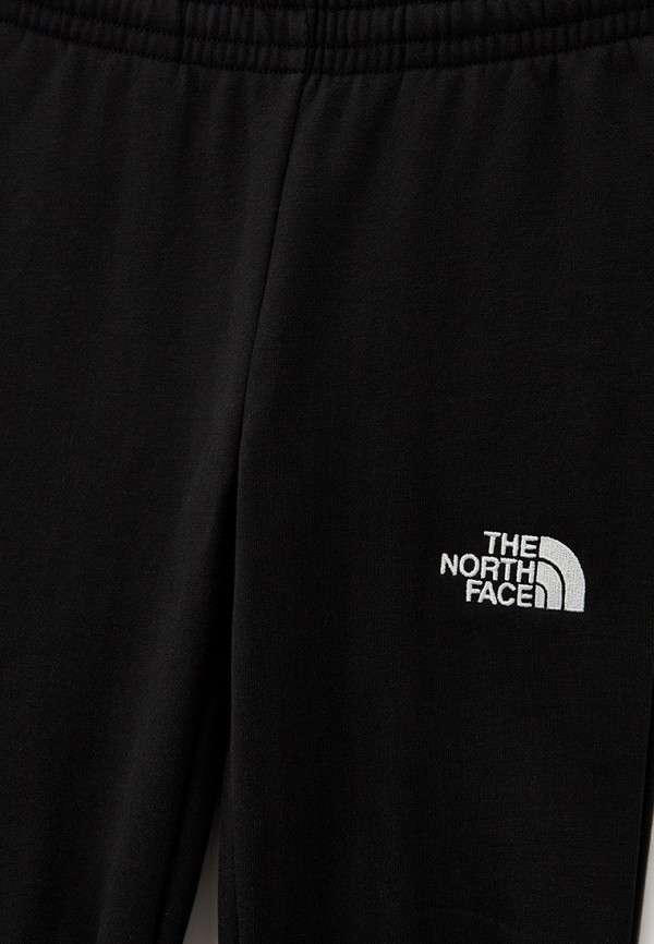 фото Брюки спортивные the north face