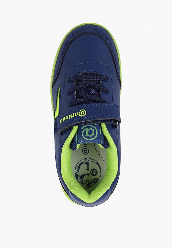 фото Кеды antilopa