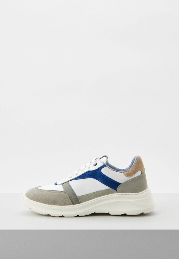 

Кроссовки Pollini, Разноцветный