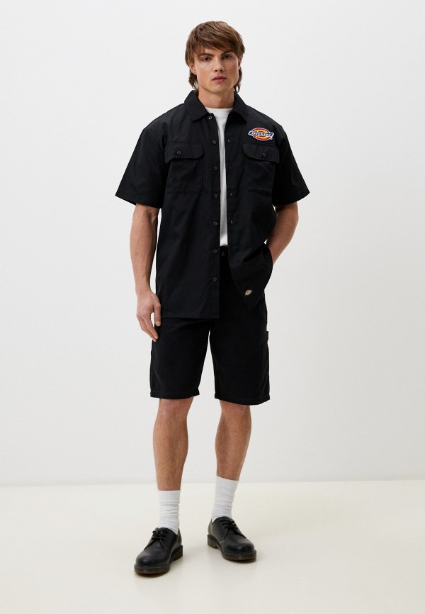 фото Шорты dickies