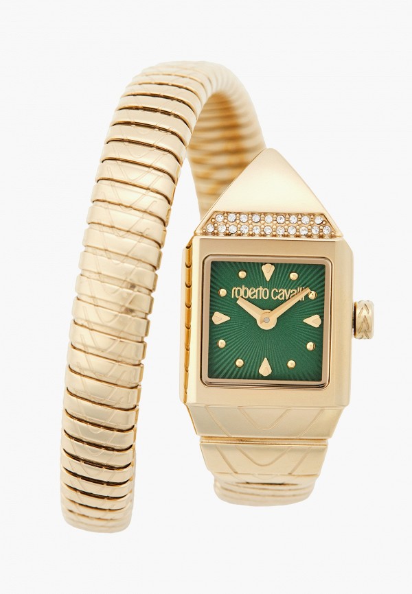 Часы Roberto Cavalli 43520₽