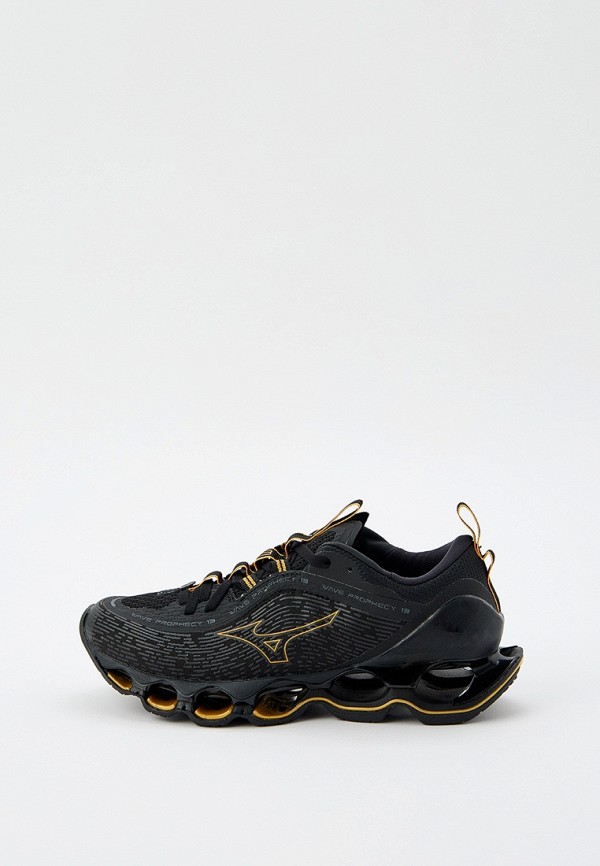 

Кроссовки Mizuno, Черный, WAVE PROPHECY 13