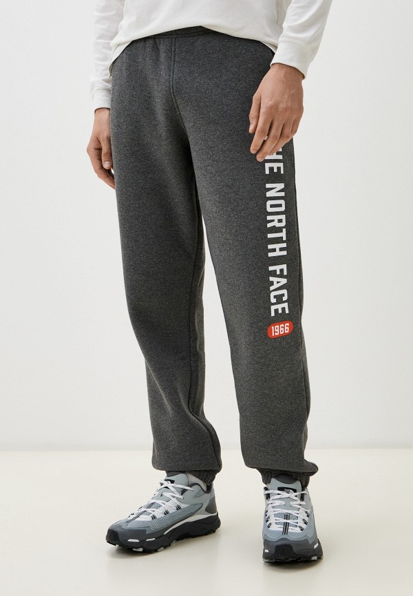 Брюки спортивные The North Face 10199₽