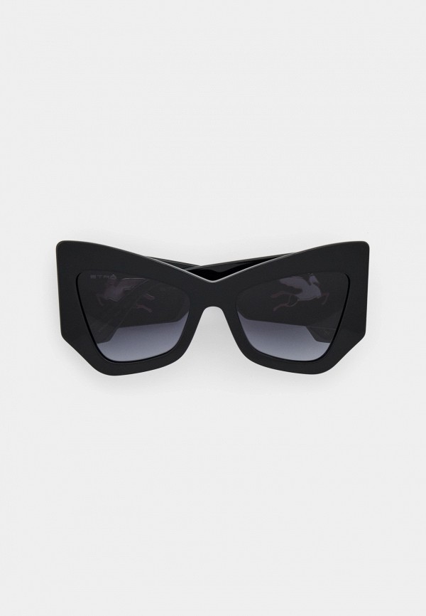 Очки солнцезащитные Etro 38800₽