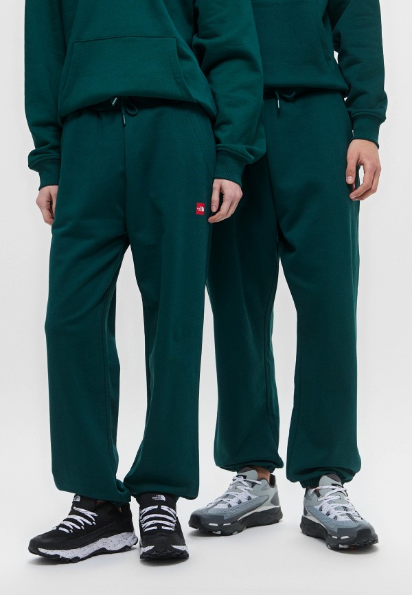 Брюки спортивные The North Face 10899₽