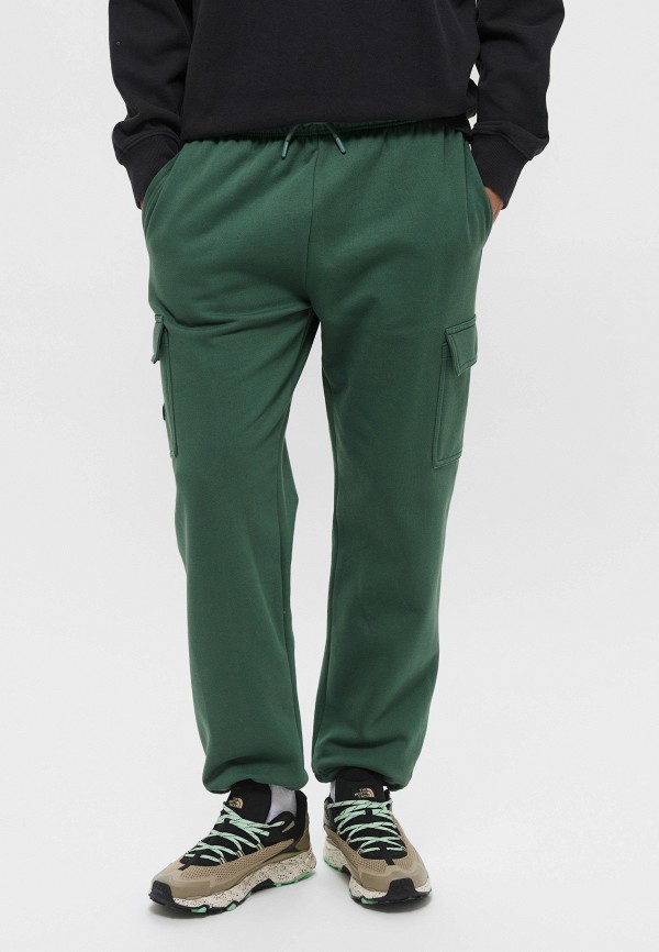 Брюки спортивные The North Face 11999₽