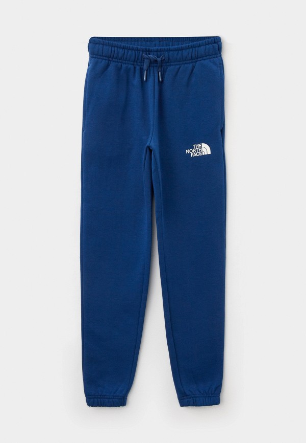 Брюки спортивные The North Face 6599₽