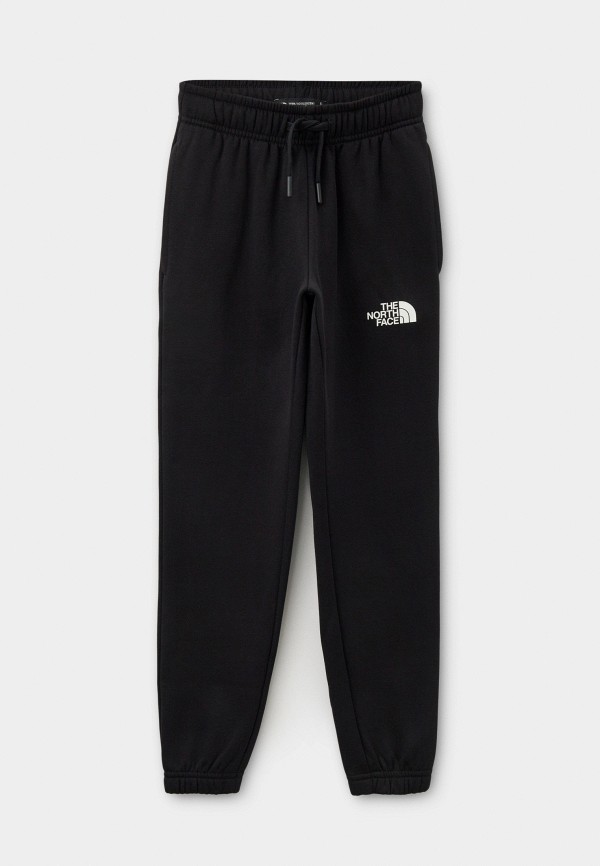 Брюки спортивные The North Face 6599₽