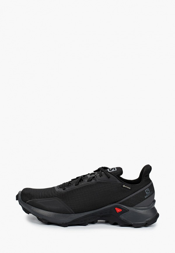 

Кроссовки Salomon, Черный, ALPHACROSS GTX