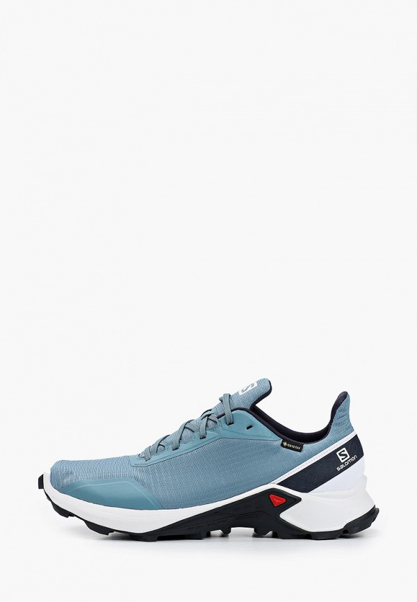 

Кроссовки Salomon, Серый, ALPHACROSS GTX