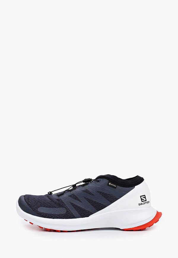 

Кроссовки Salomon, Синий, SENSE FLOW GTX