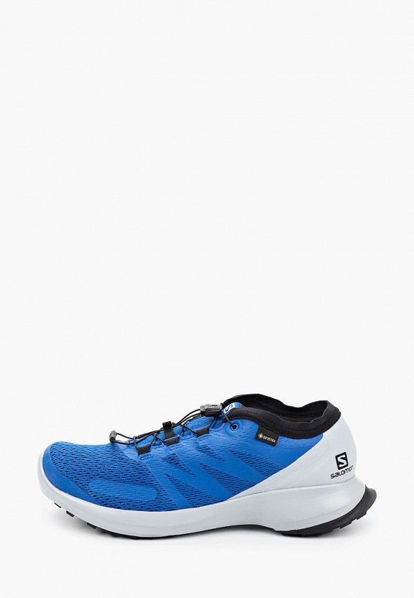 

Кроссовки Salomon, Синий, SENSE FLOW GTX