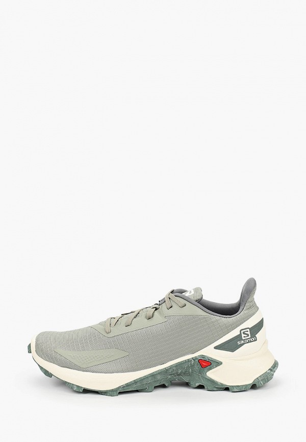 

Кроссовки Salomon, Хаки, ALPHACROSS BLAST