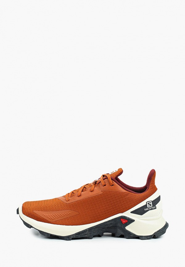 

Кроссовки Salomon, Коричневый, ALPHACROSS BLAST