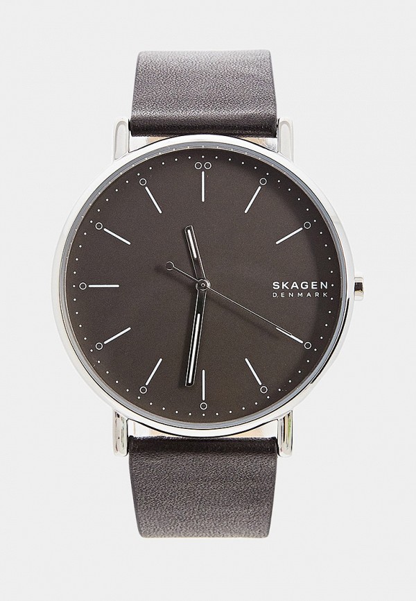 Часы Skagen Skagen 