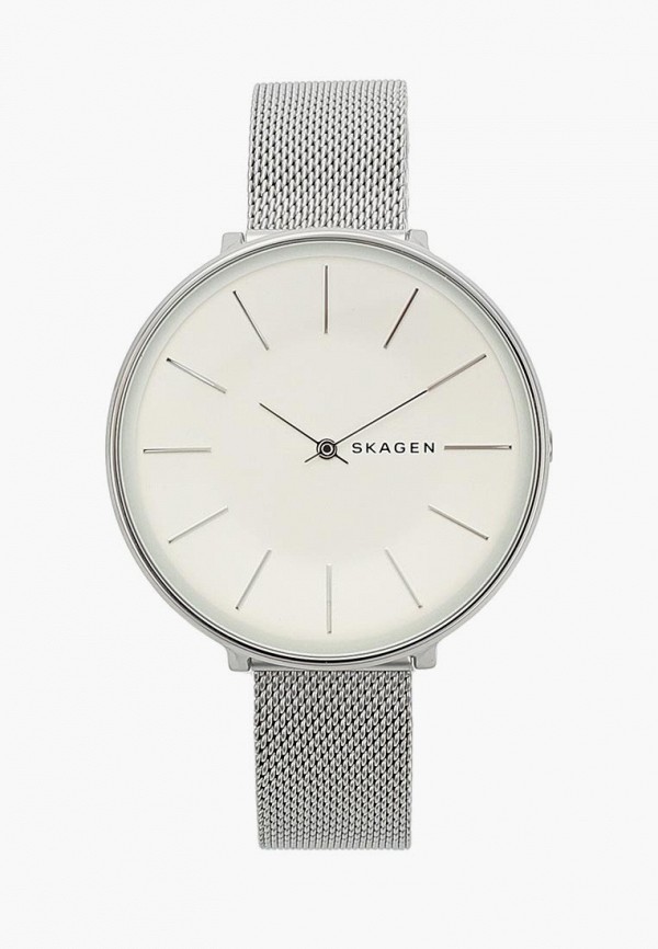 Часы Skagen Skagen SK006DWBFYO3