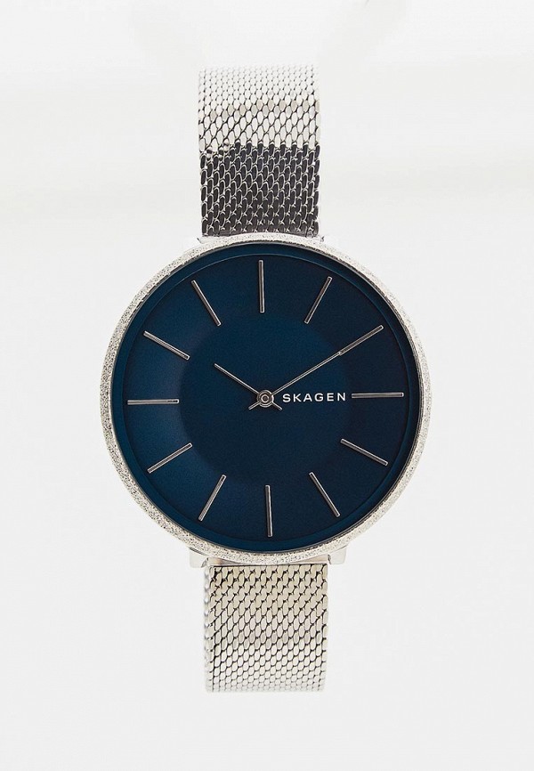 все цены на Часы Skagen Skagen SK006DWDSBS1 онлайн