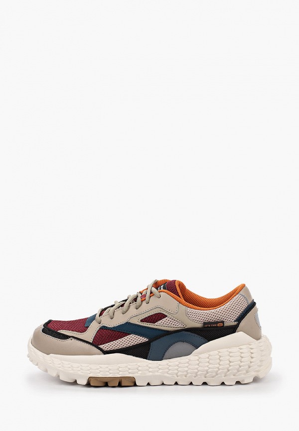 

Кроссовки Skechers, Разноцветный, SKECHERS MONSTER