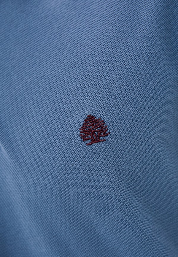 фото Поло springfield