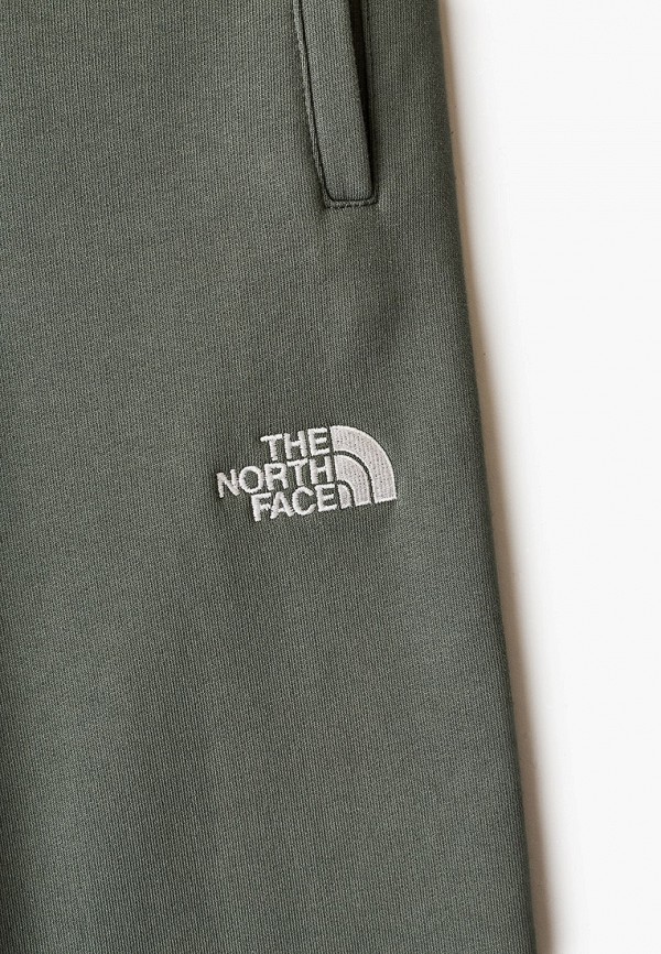 фото Брюки спортивные the north face