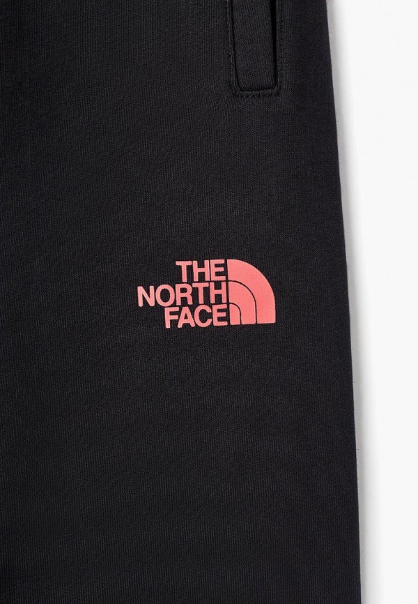 фото Брюки спортивные The North Face