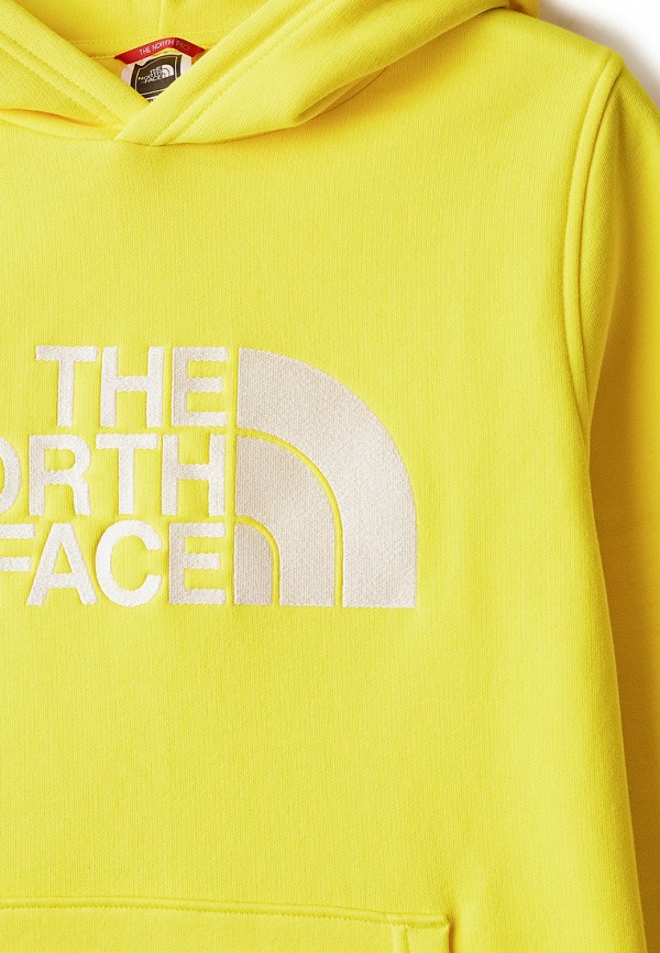 фото Худи the north face