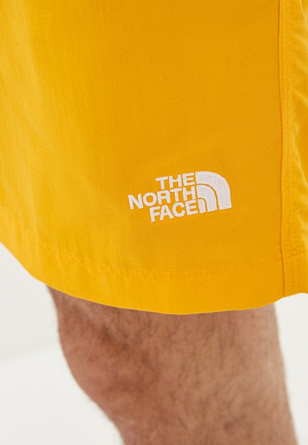 фото Шорты спортивные the north face