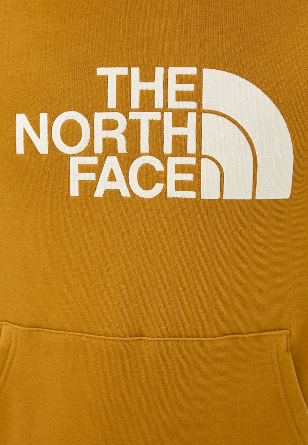 фото Худи the north face