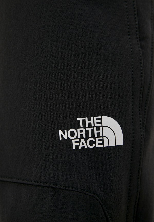 фото Брюки спортивные the north face