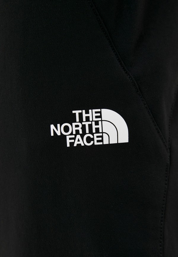 фото Брюки утепленные the north face