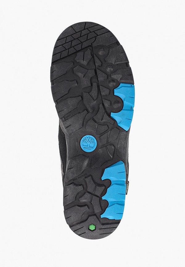 

Ботинки трекинговые Timberland, Черный, Neptune Park Mid GTX Bungee