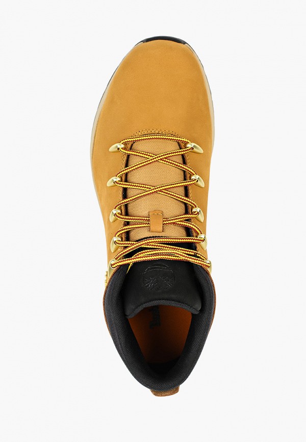 фото Ботинки трекинговые timberland