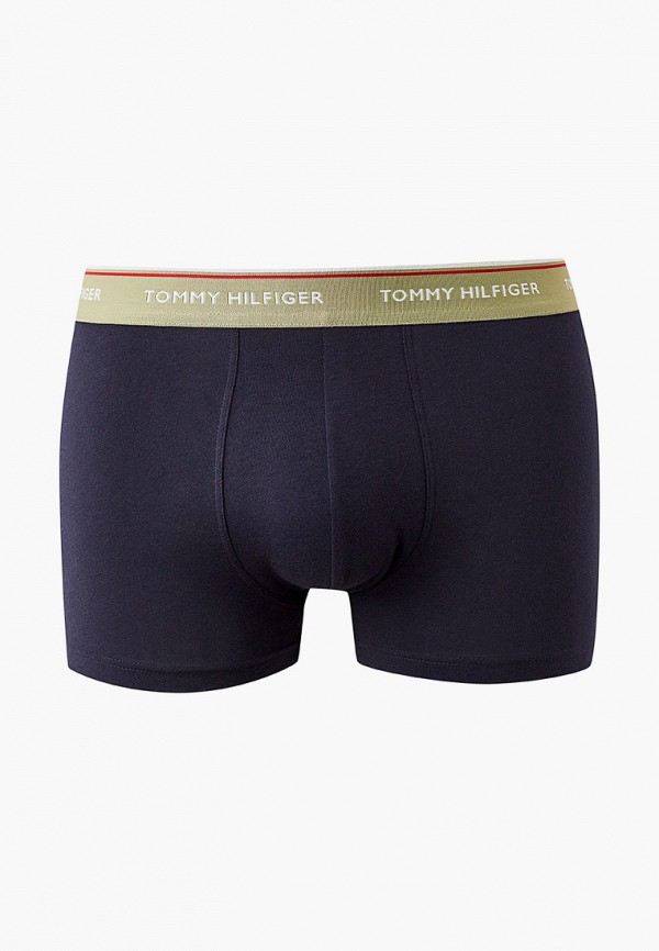 

Комплект Tommy Hilfiger, Синий, WB Trunk