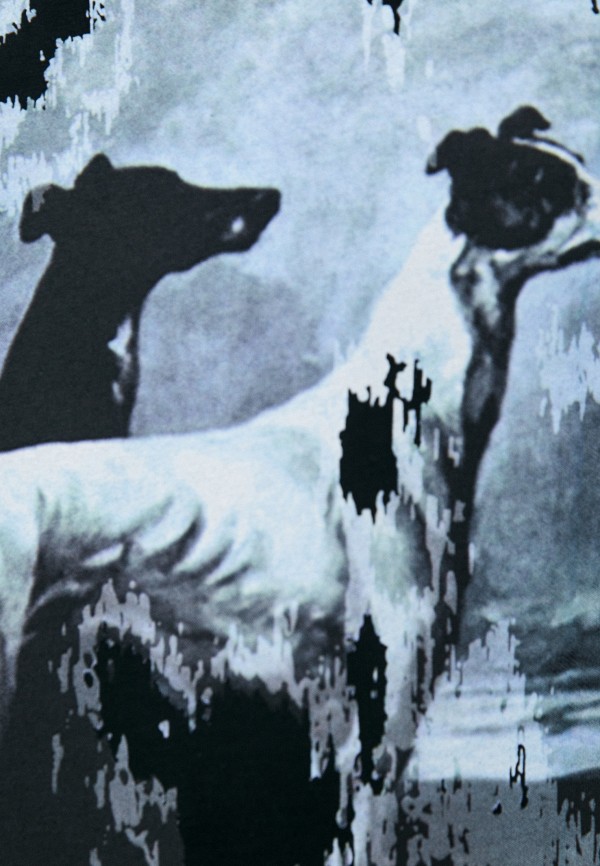 фото Футболка trussardi