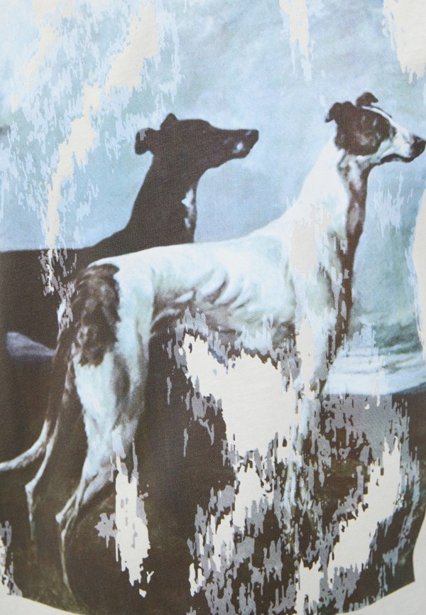 фото Футболка trussardi