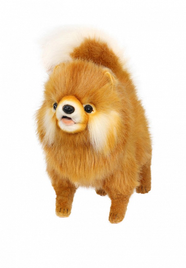 Игрушка мягкая Hansa Собака померанский шпиц, 28 см мягкая игрушка щенок с круглой головой померанский шпиц