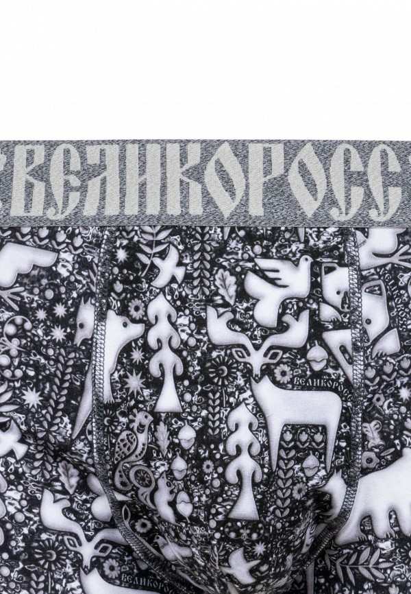 фото Трусы великоросс