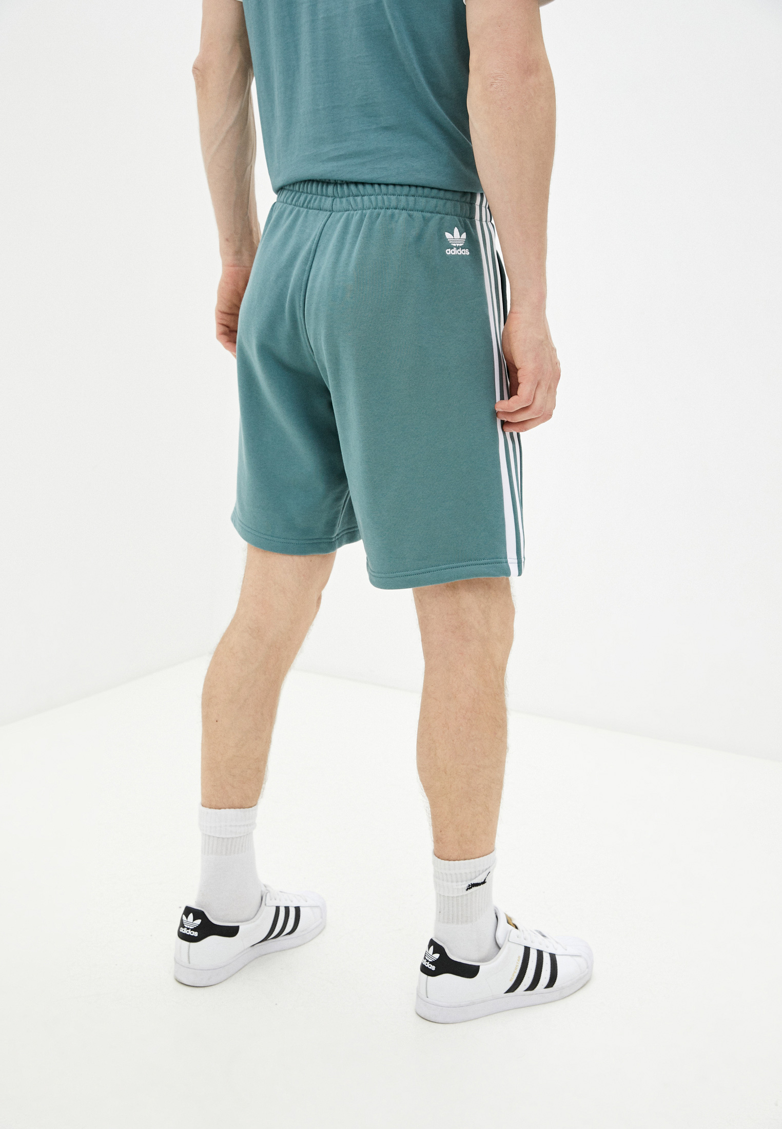 Мужские спортивные шорты Adidas Originals (Адидас Ориджиналс) GN3591 купить  за 4699 руб.