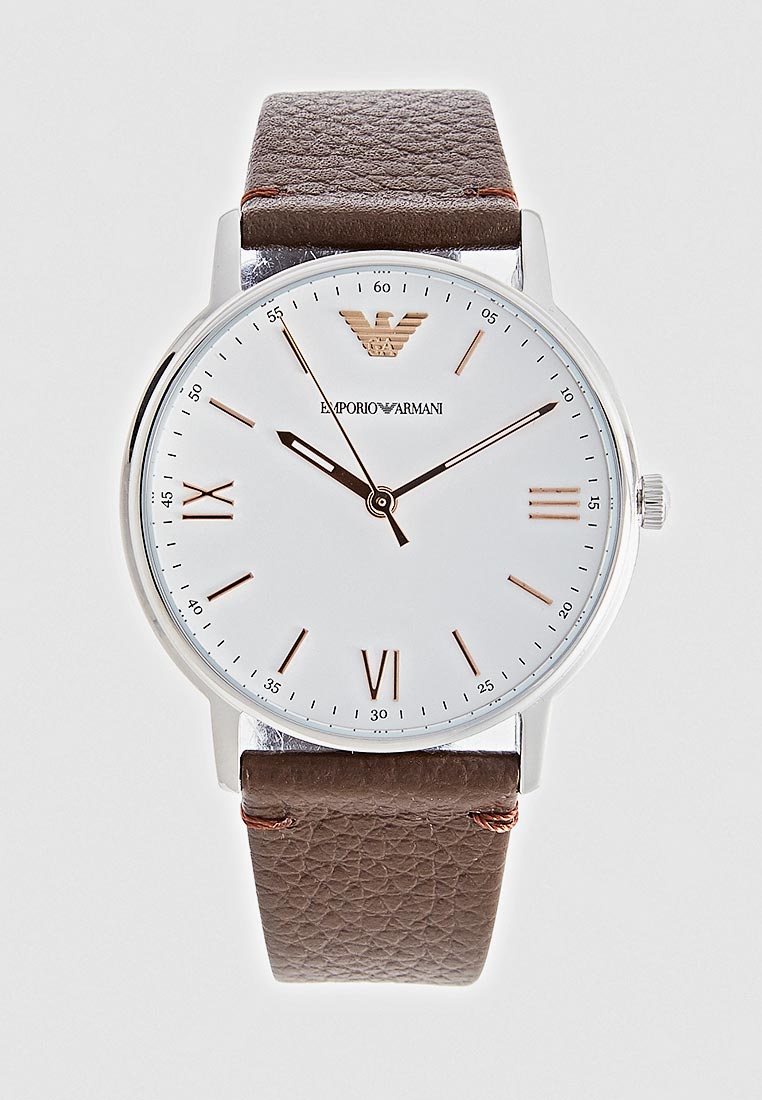 Мужские часы Emporio Armani (Эмпорио Армани) AR11173: изображение 1