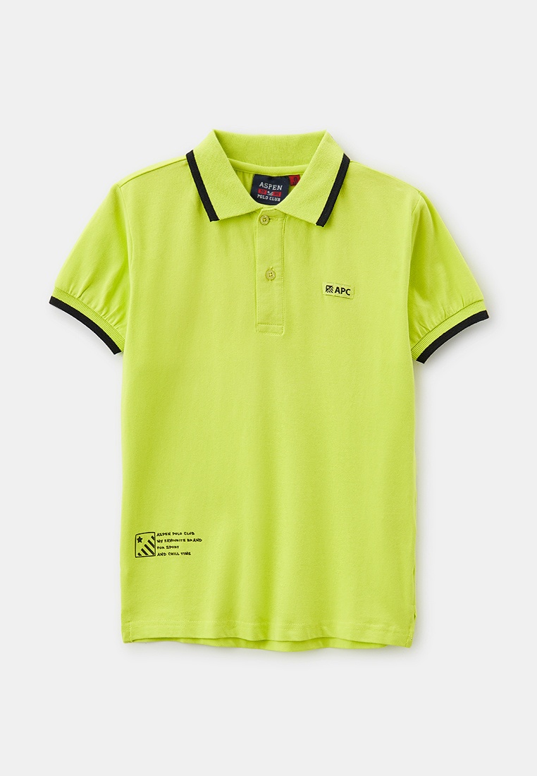 Поло для мальчиков Aspen Polo Club 1036MP0724