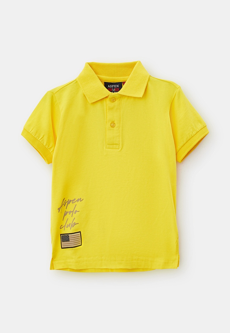 Поло для мальчиков Aspen Polo Club 1036MP00054