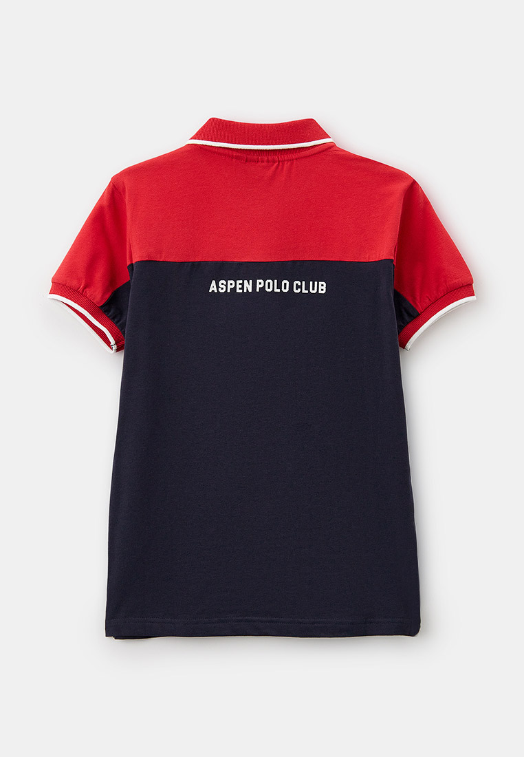 Поло для мальчиков Aspen Polo Club 1036MP00052