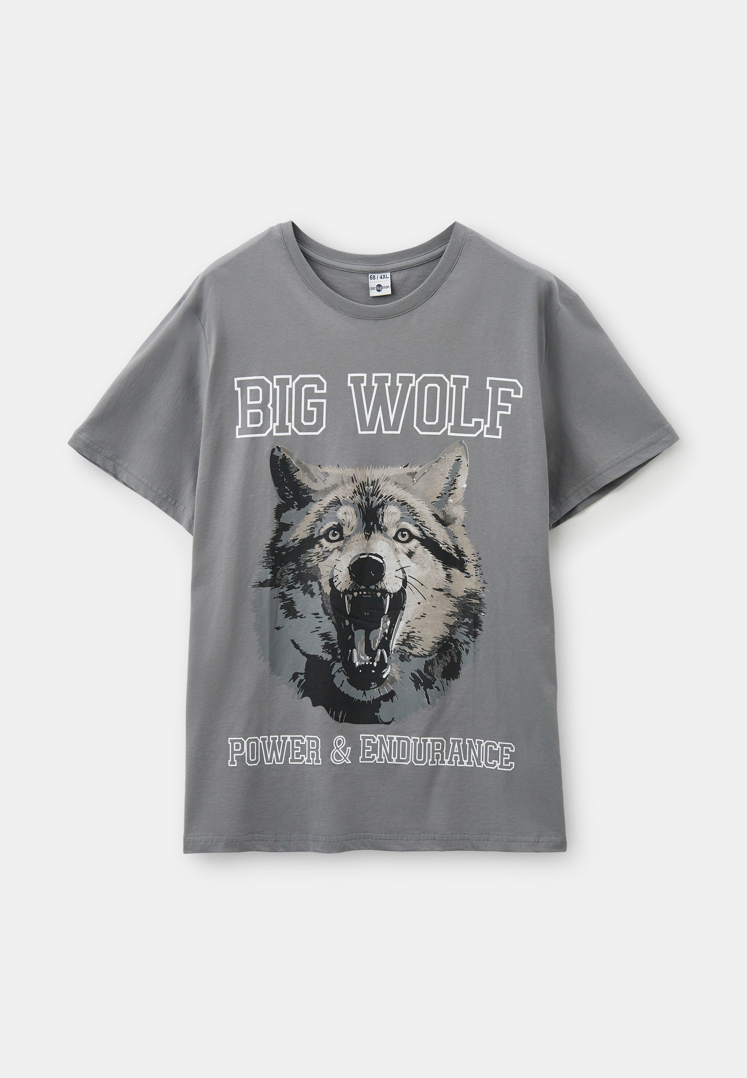 Футболка с коротким рукавом Mr Bigman MB4039серый_58