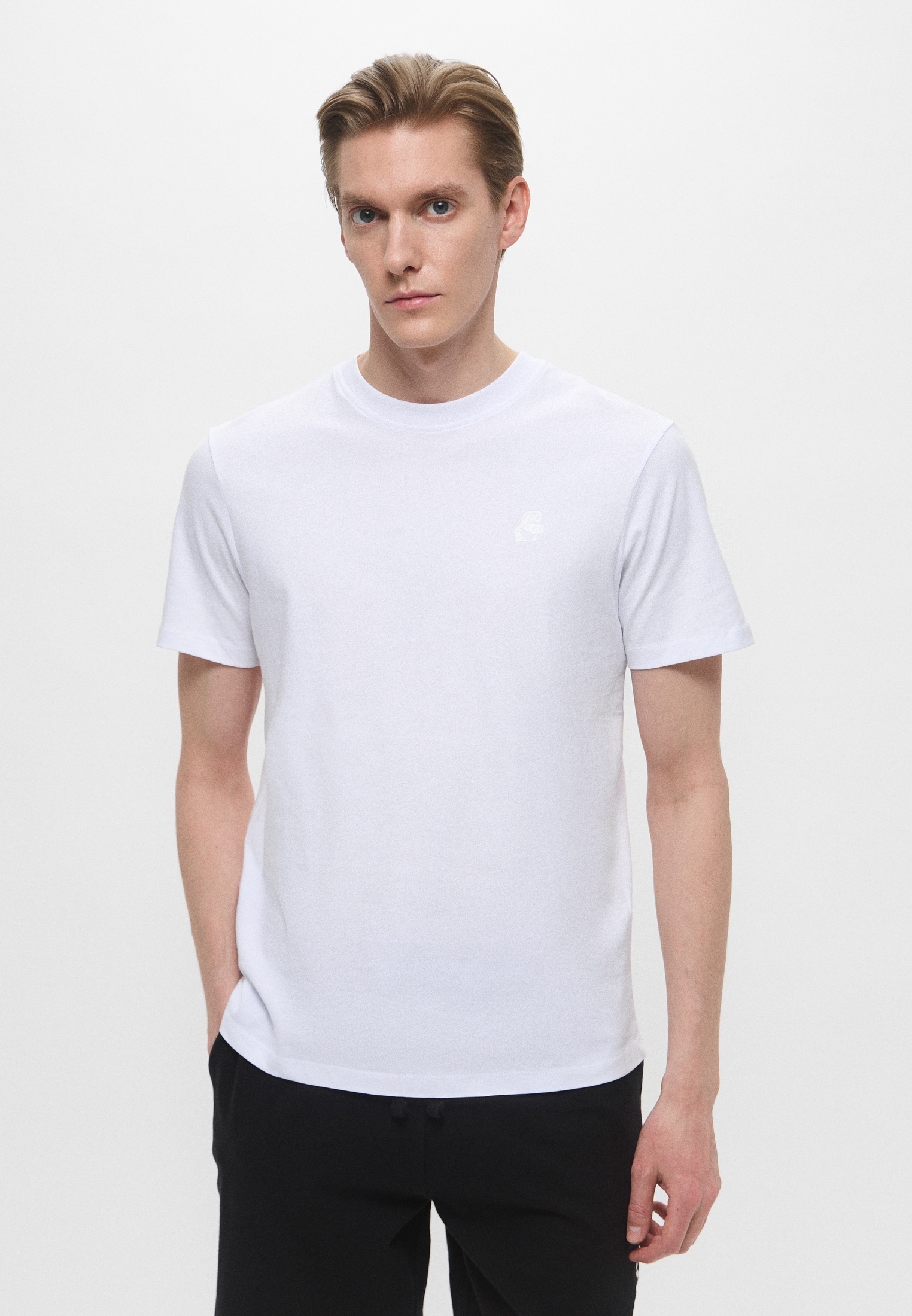 Мужская футболка Karl Lagerfeld (Карл Лагерфельд) A1M17016_100