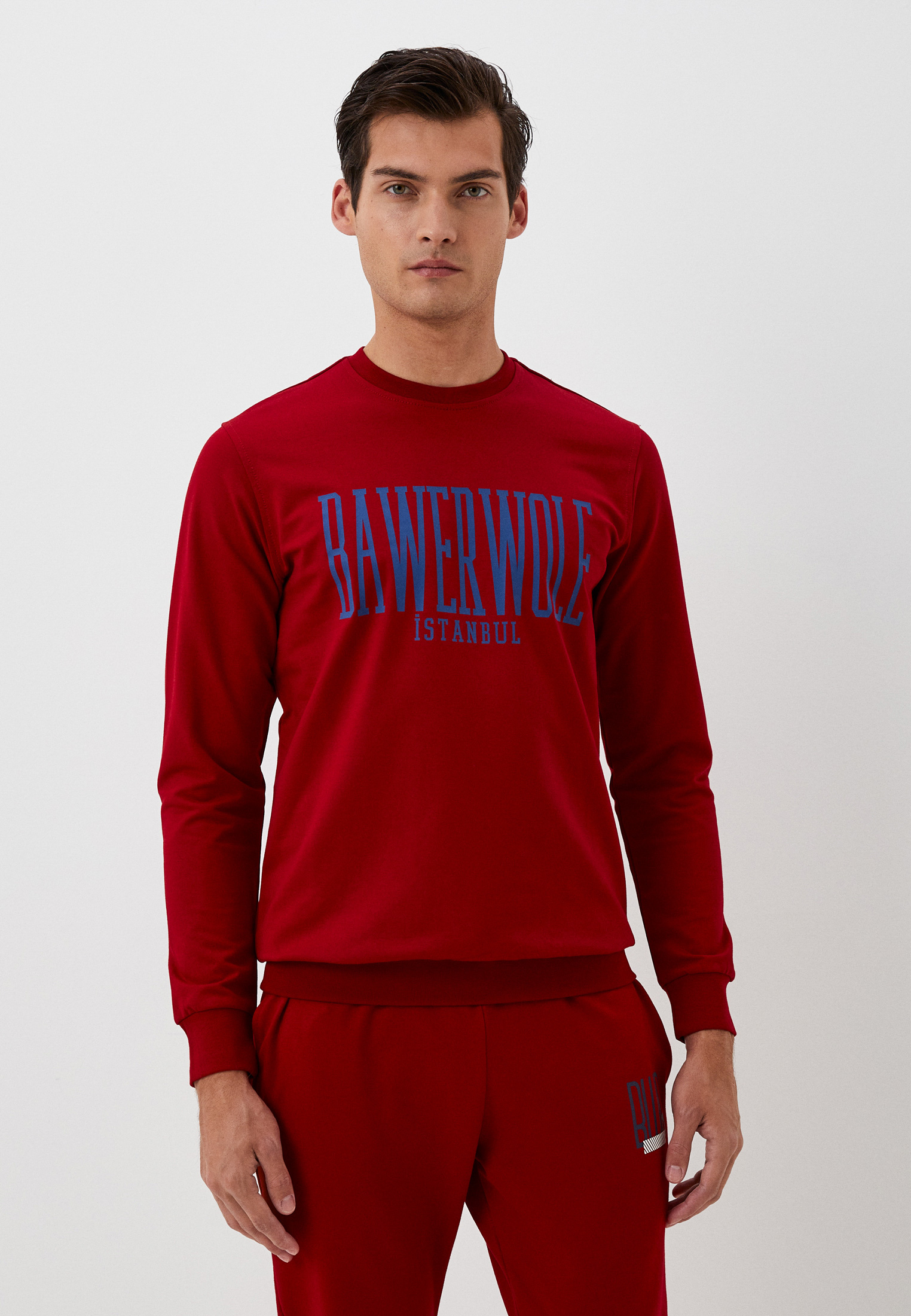 Мужские свитшоты BAWER BW46-04_3XL