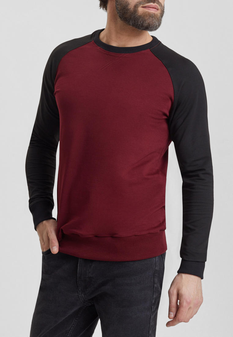 Мужские свитшоты Envylab SW02/Бордовый-3XL