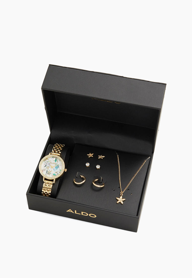 Комплект Aldo (Альдо) Часы, колье и серьги 3 пары Aldo