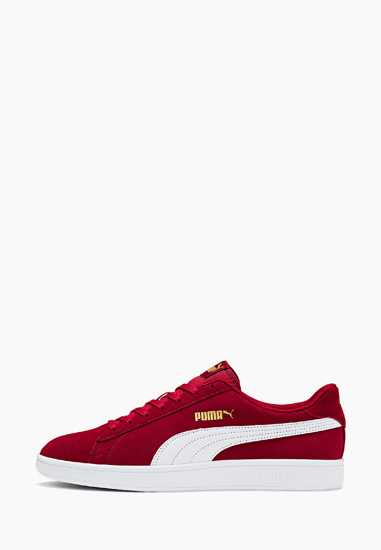 Мужские кеды Puma (Пума) 364989: изображение 1