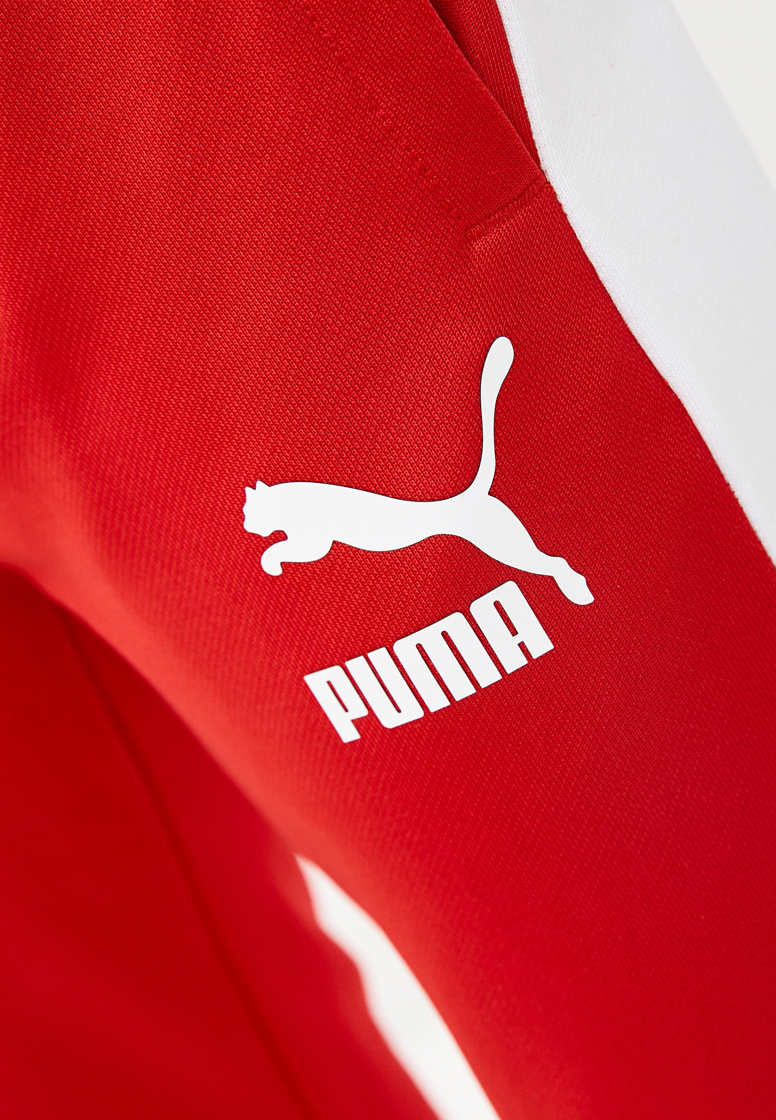 Мужские спортивные брюки Puma (Пума) 530098 купить за 7499 руб.