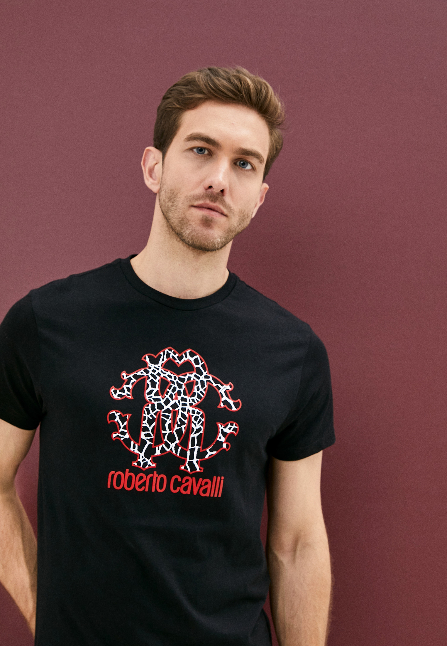 Мужская футболка Roberto Cavalli (Роберто Кавалли) HSH00T: изображение 2